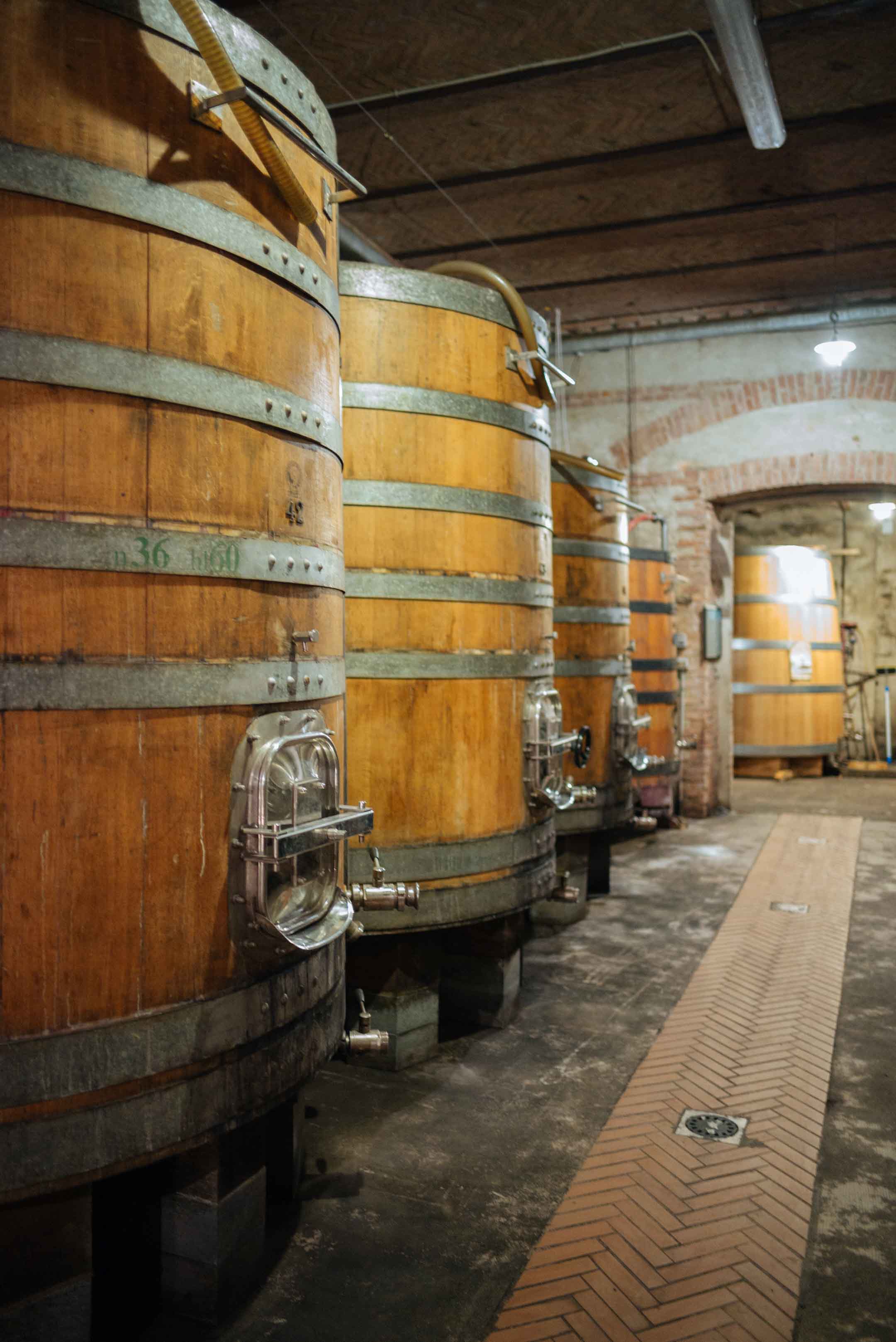 Tour Guiseppe Rinaldi winery in Barolo with Marta Rinaldi