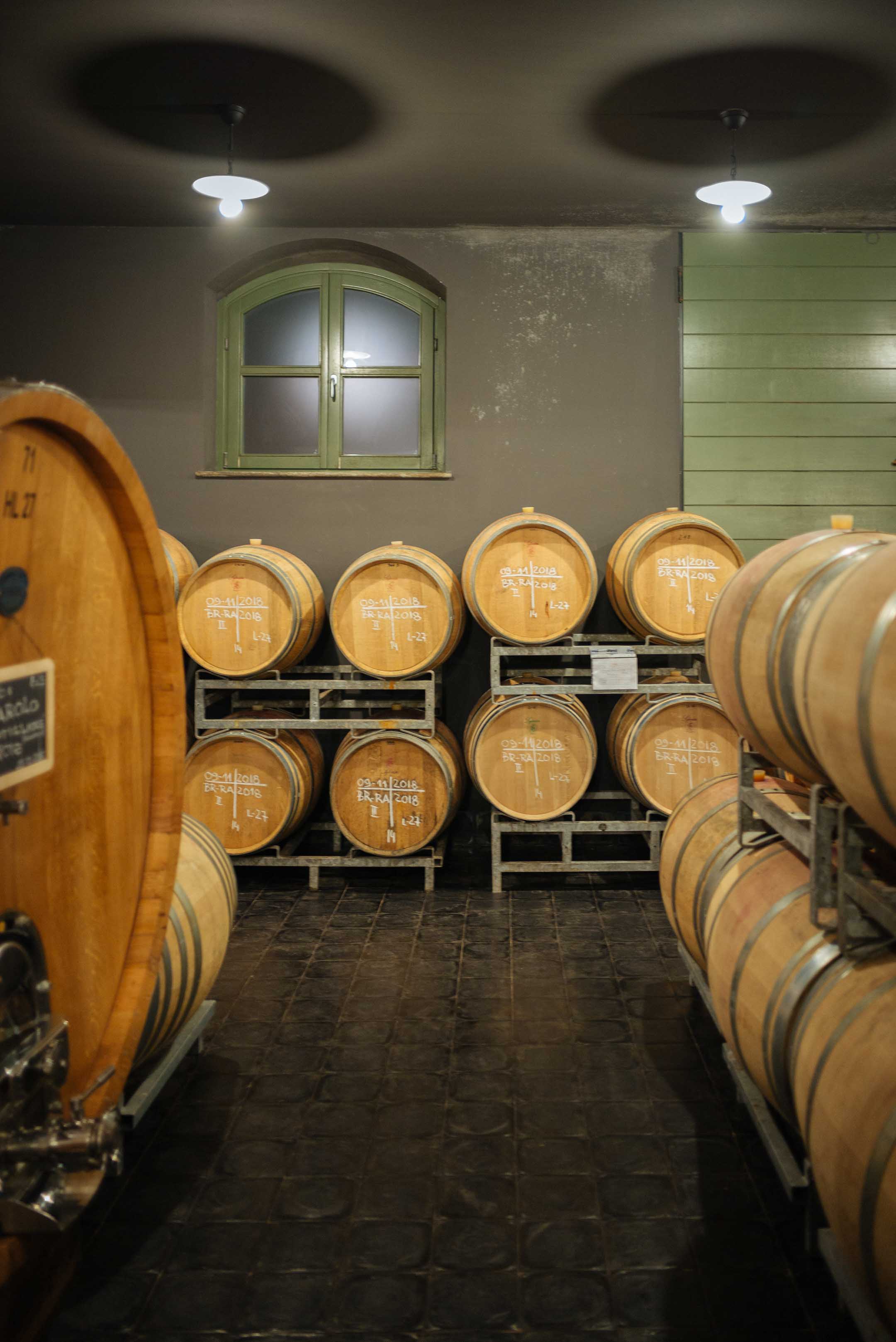 Visit vietti winery in Castiglione Falletto, Piedmont