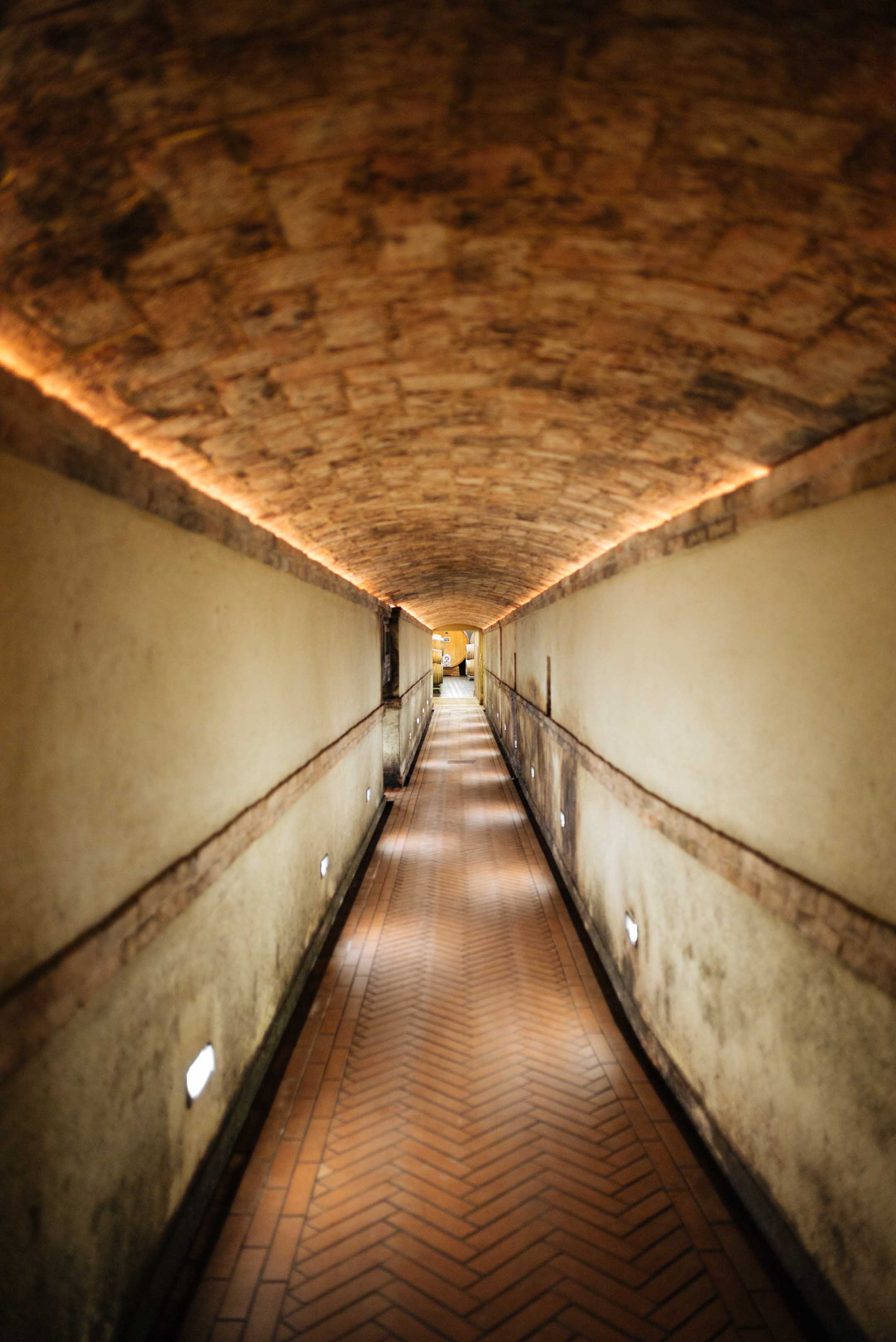 Visit vietti winery in Castiglione Falletto, Piedmont