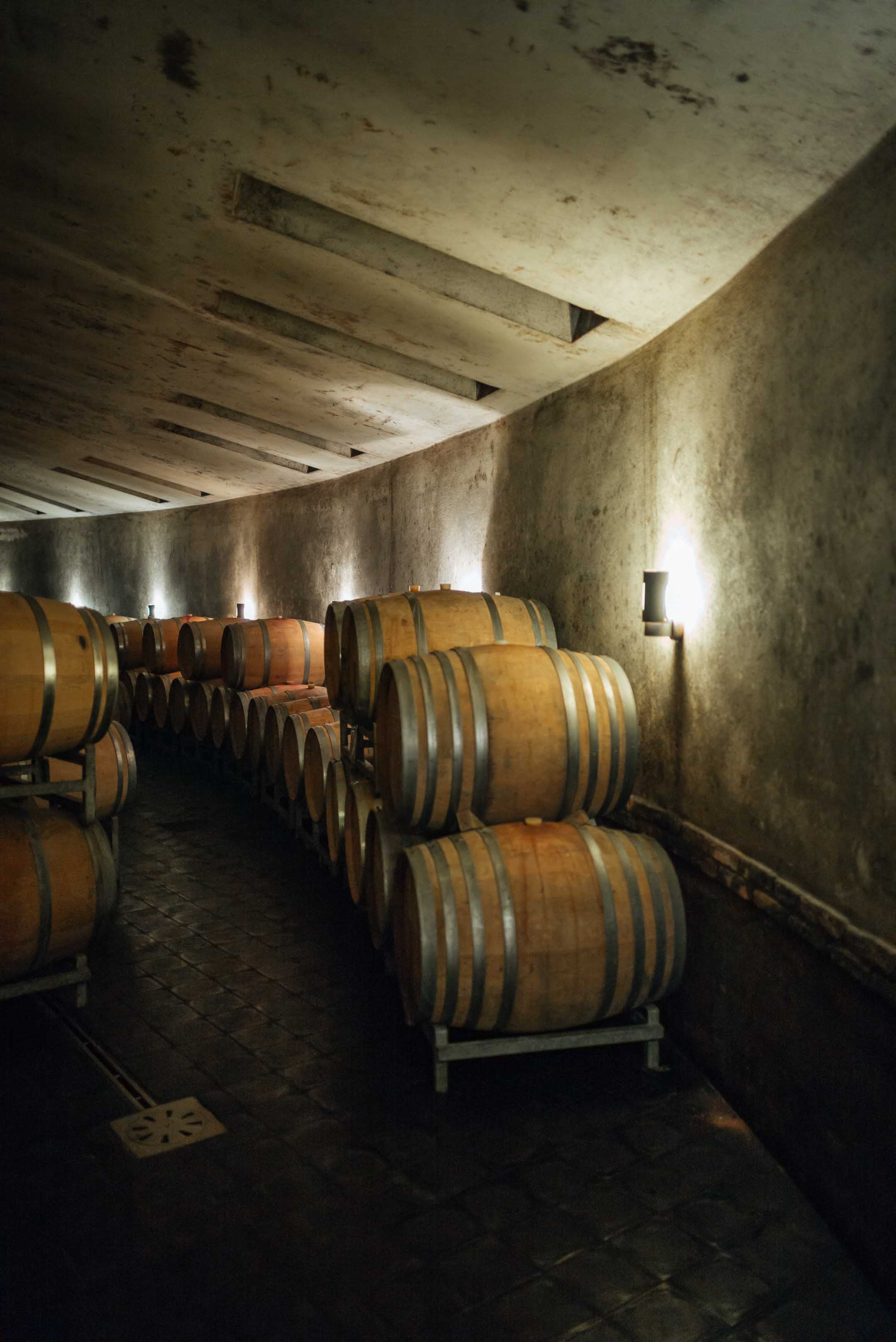 Visit vietti winery in Castiglione Falletto, Piedmont