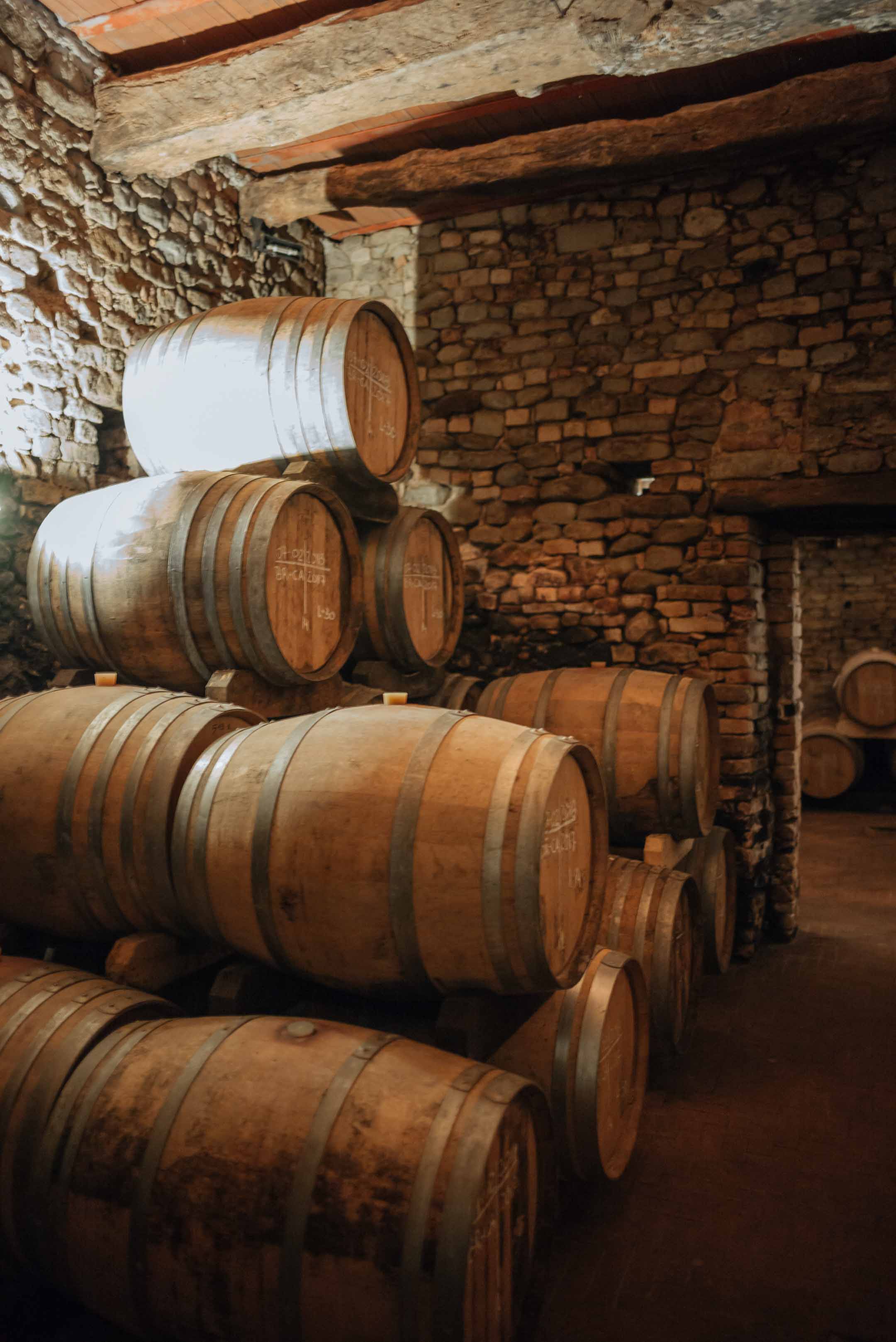 Visit vietti winery in Castiglione Falletto, Piedmont