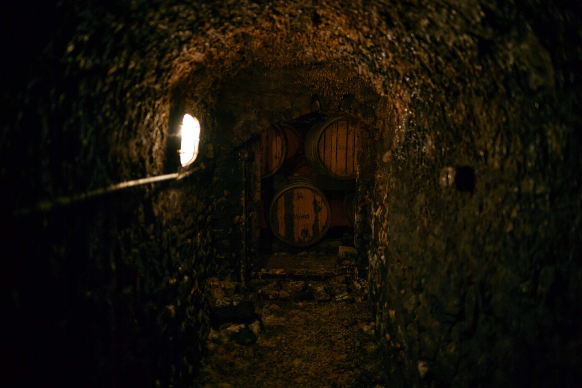 Visit vietti winery in Castiglione Falletto, Piedmont