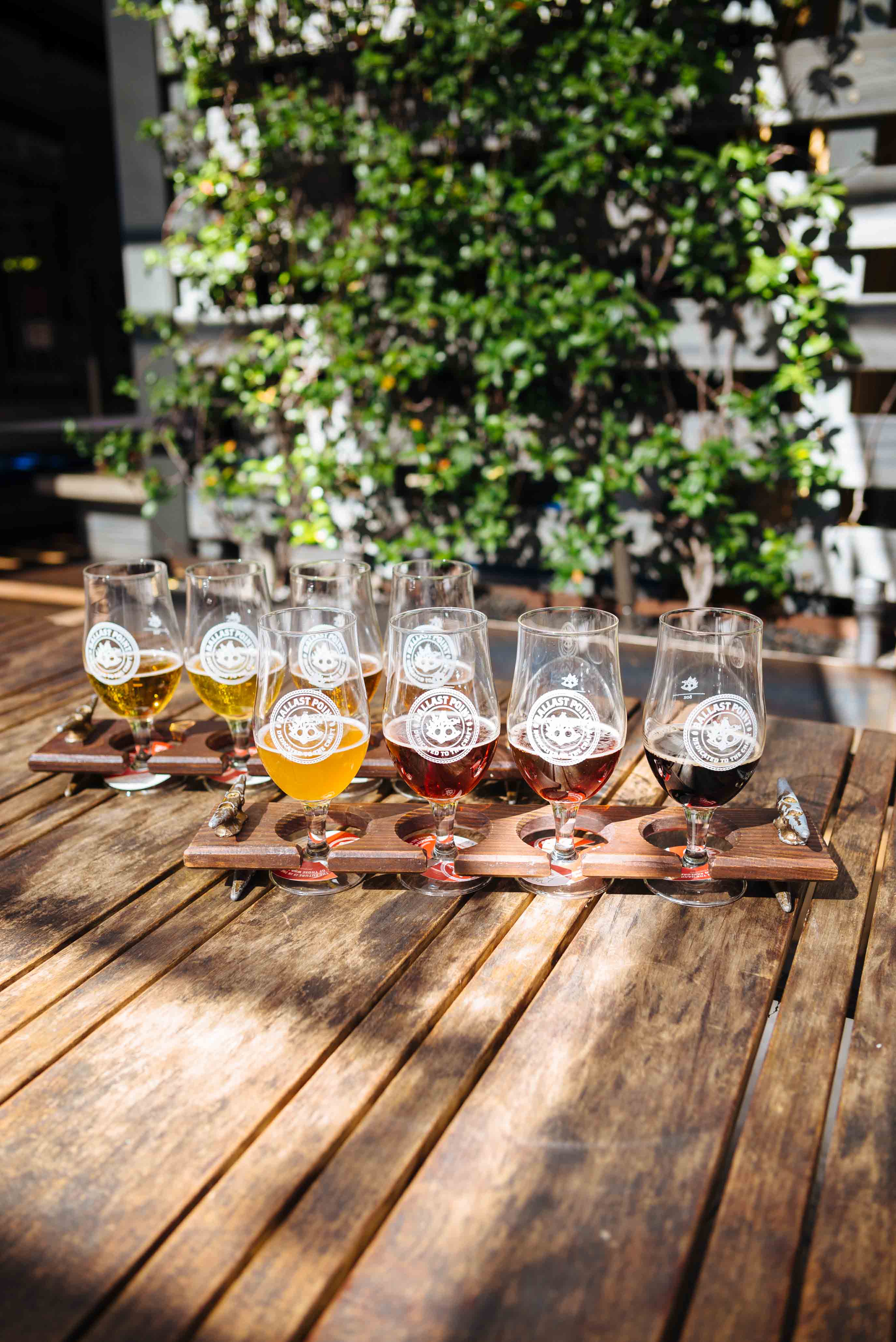 Find many breweries and microbreweries in San Diego like Ballast Point's outdoor patio tasting room