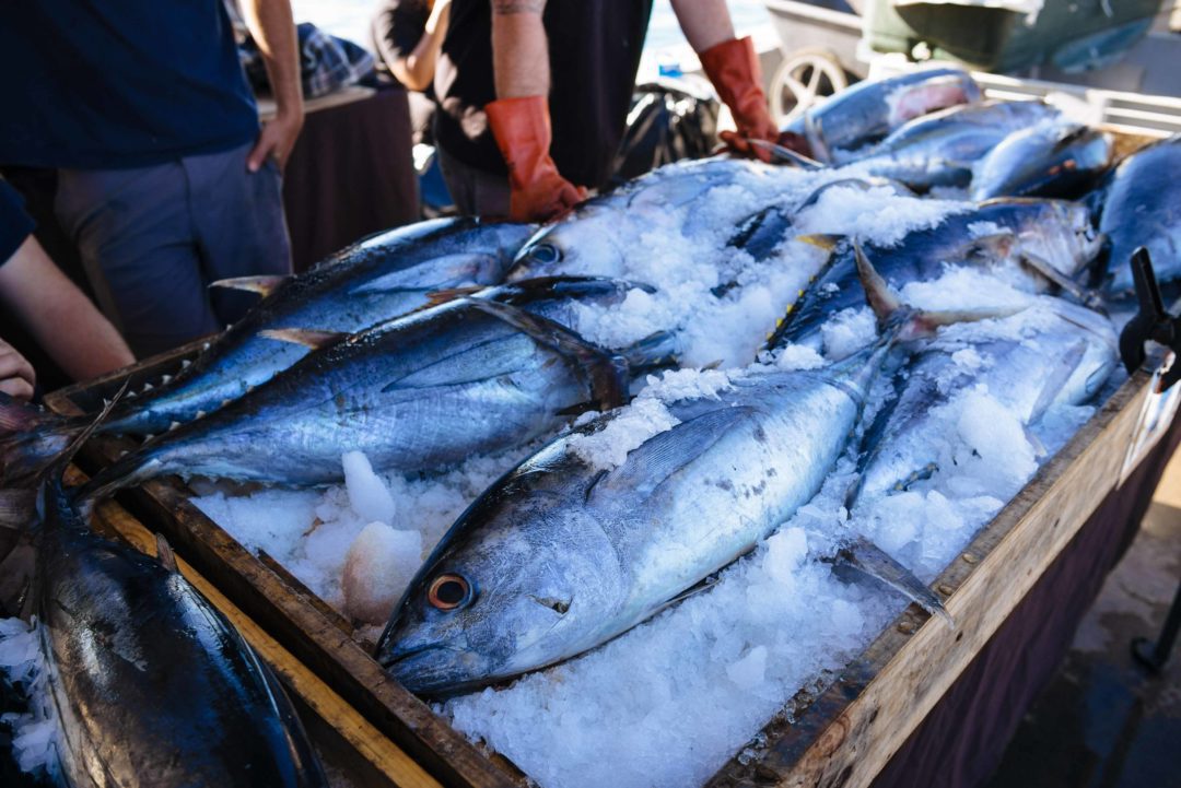 The Best Seafood in San Diego The Taste Edit