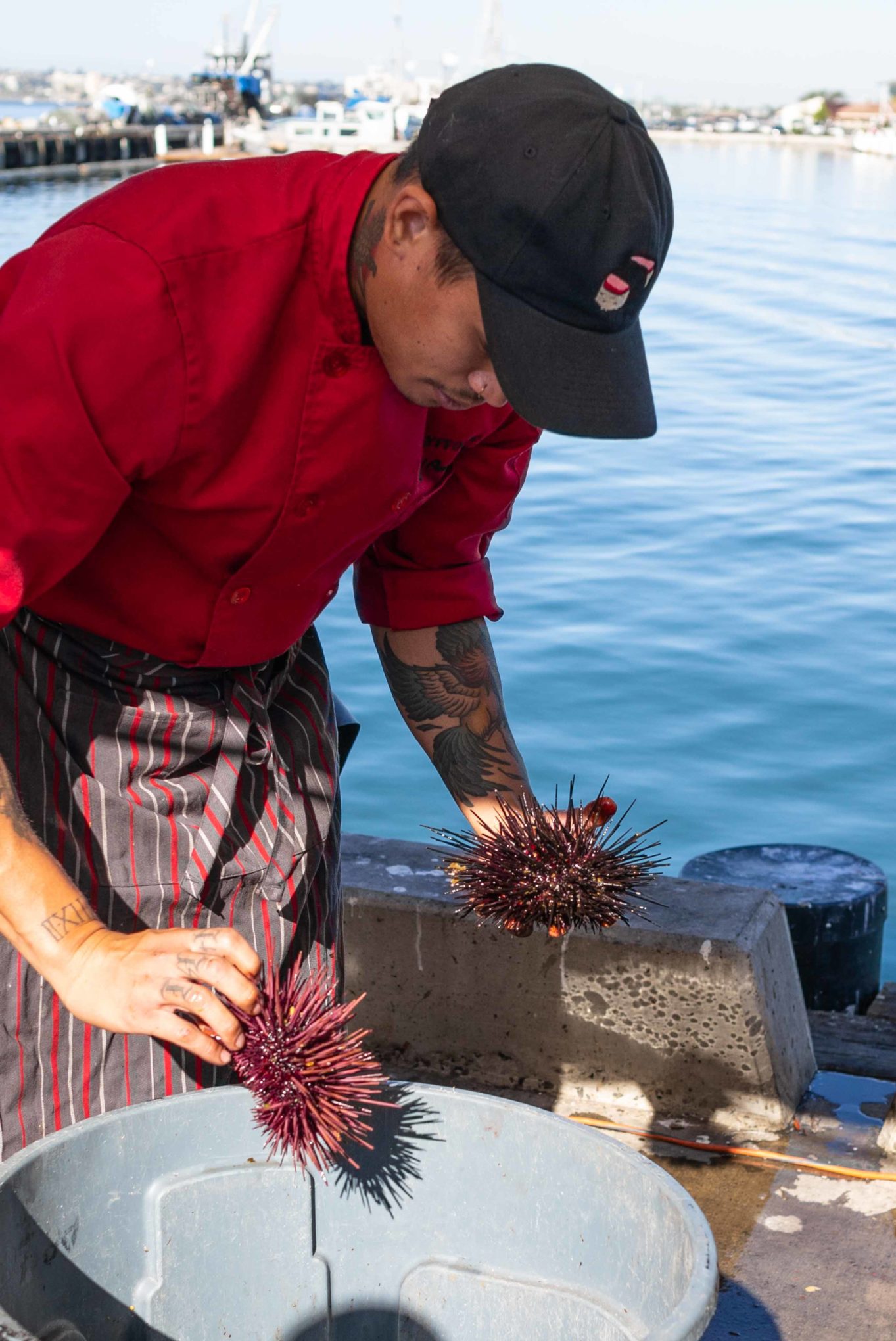 Making poke stuffed Sea Urchins at Tuna Harbor Dockside Market in San Diego