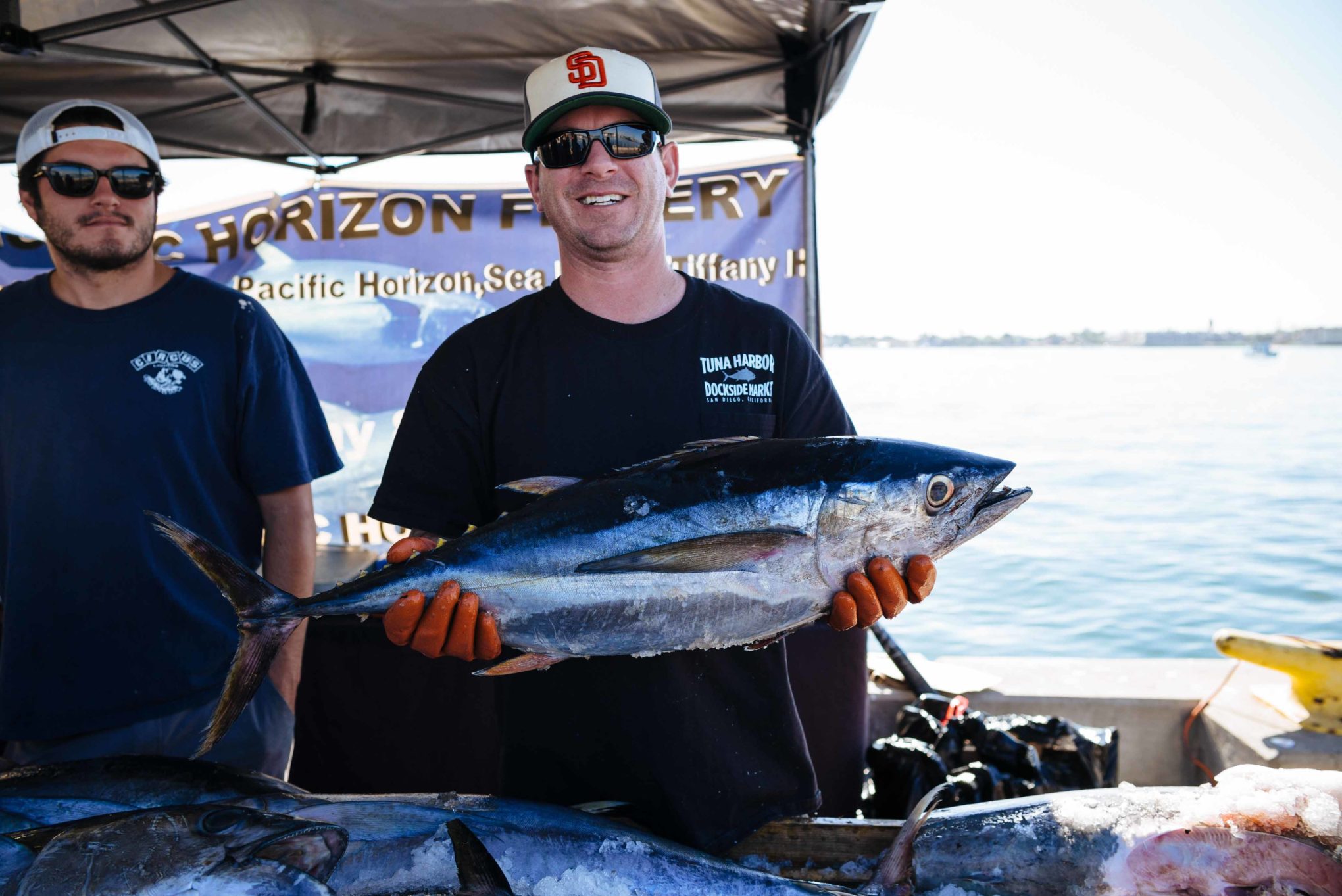 The Taste Edit Finds whole tuna and the Freshest fish and seafood at Tuna Harbor Dockside Market in San Diego