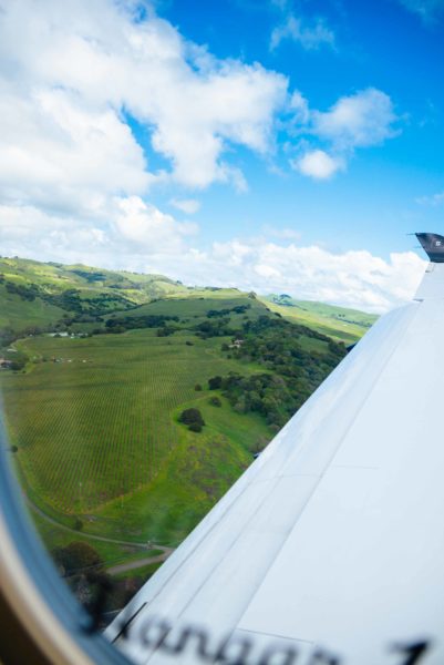 The Taste Edit takes in the view of Napa Valley vineyards from the Surf Air plane ride