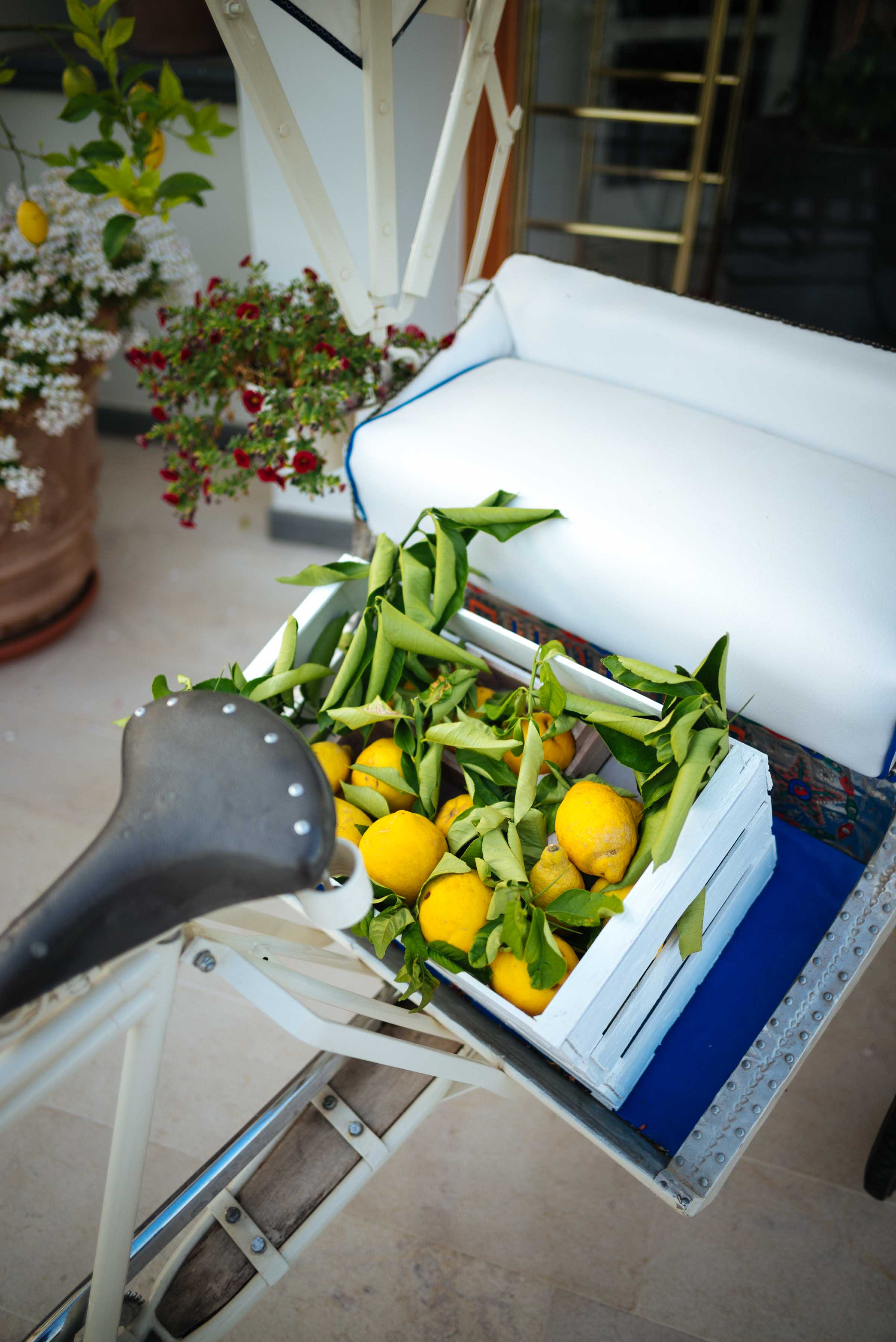 Lemons cover the Amalfi Coast in Italy. This hotel in Ischia Italy welcomes guests with a bike full of lemons. | thetasteedit.com #italy #travel #hotel