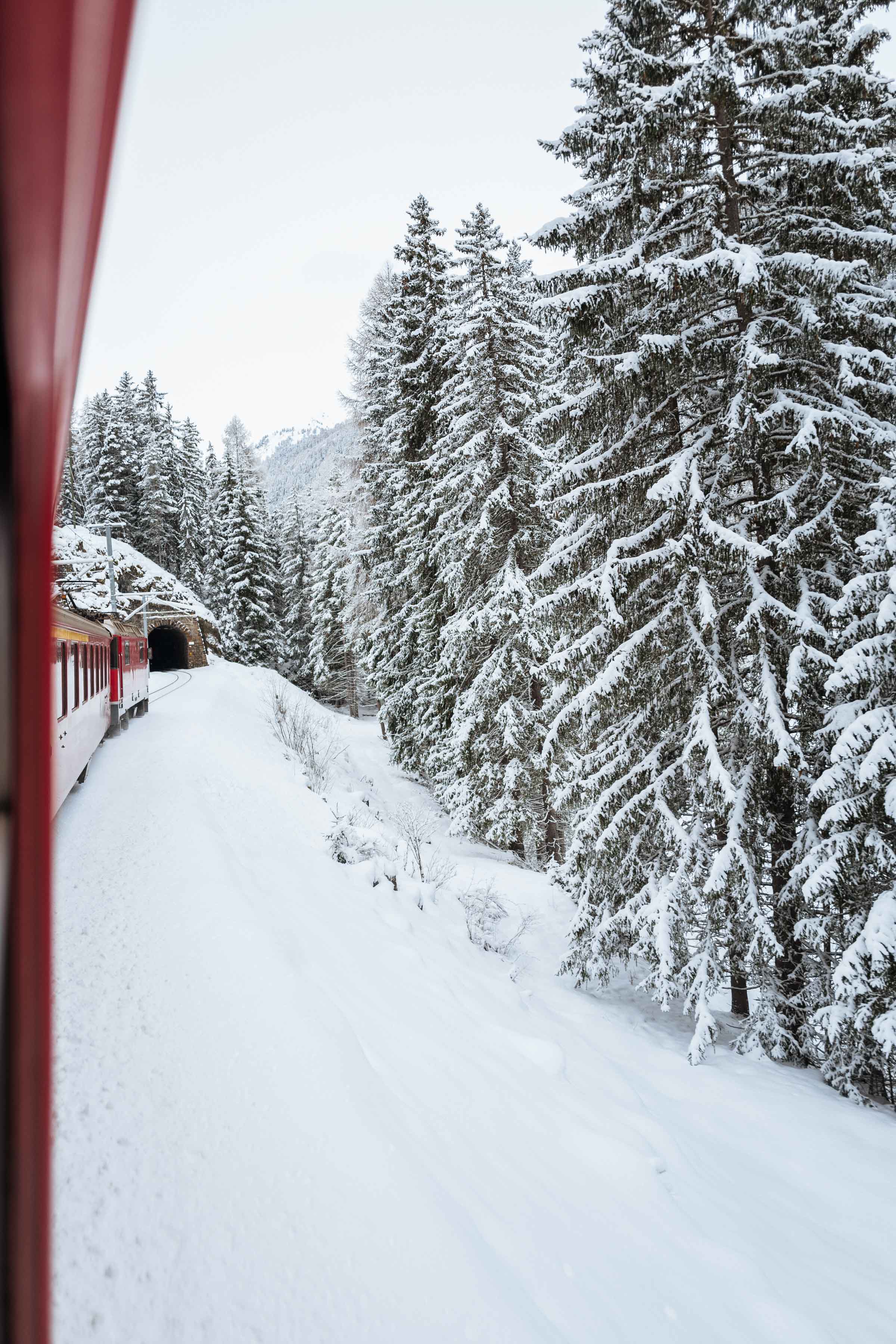 Planning a trip to Switzerland in the winter? Take the train to this unpretentious Swiss ski resort town. Our guide includes travel tips, things to know , the best restaurants, food, and hotels in this unique alpine village. | thetasteedit.com #travel #switzerland #winter #alps #train
