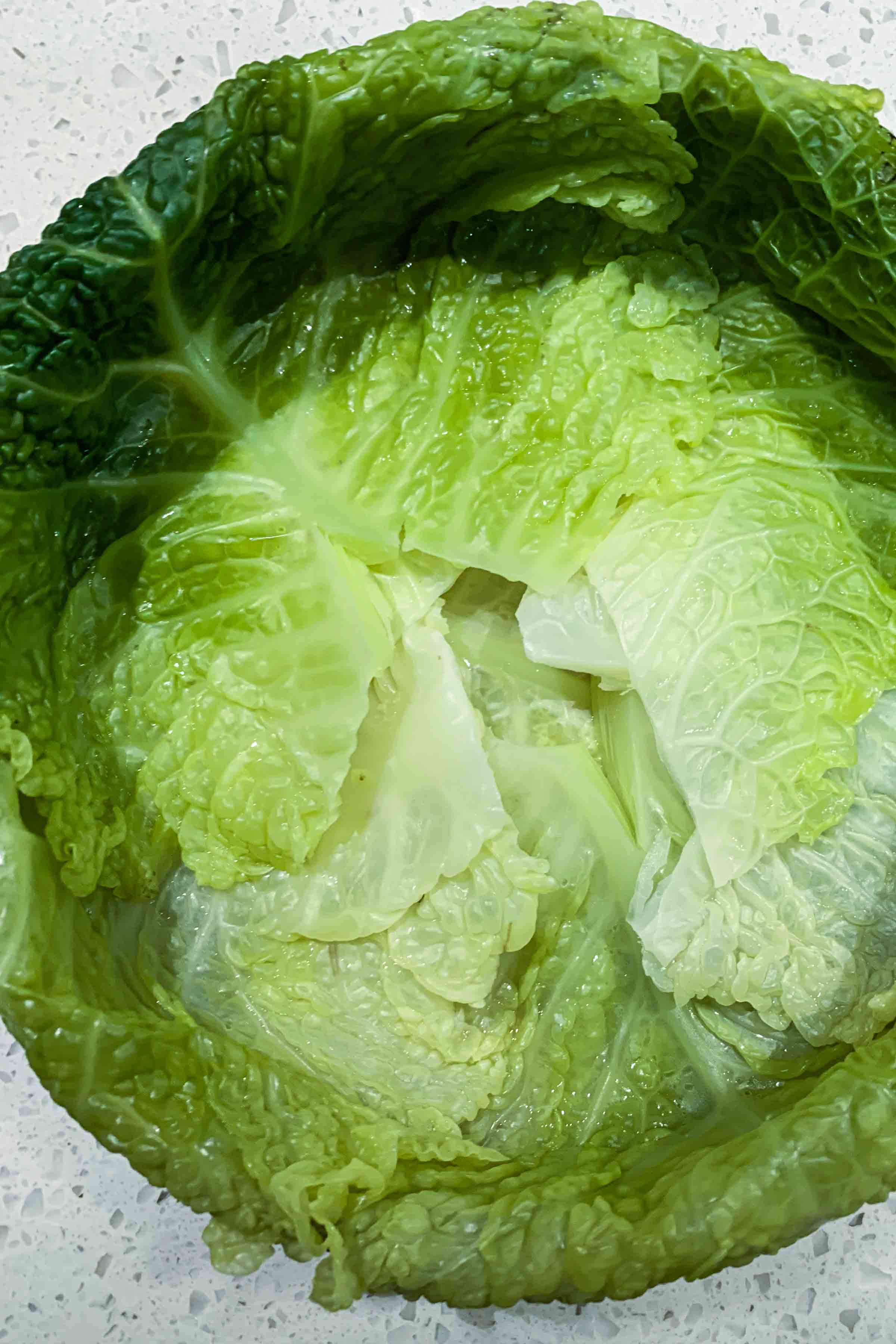 Chou Farci: The French Stuffed Cabbage - The Taste Edit