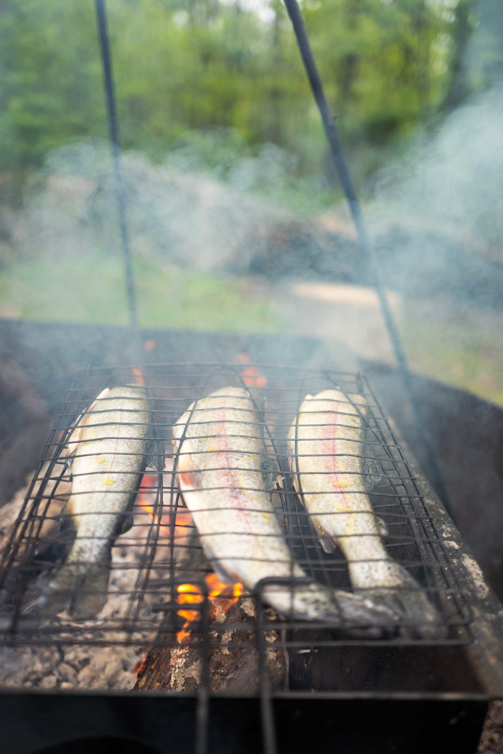 Smoking our own trout over an open fire with coals to make Cullen Skink, a thick Scottish fish chowder recipe from Loch Fyne oyster company | thetasteedit.com #soup #chowder #fish #camping