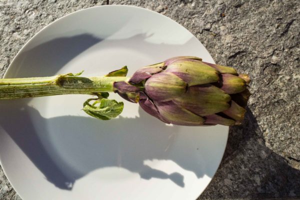 Sardinian artichoke for Badrutt's artichoke and burrata salad recipe