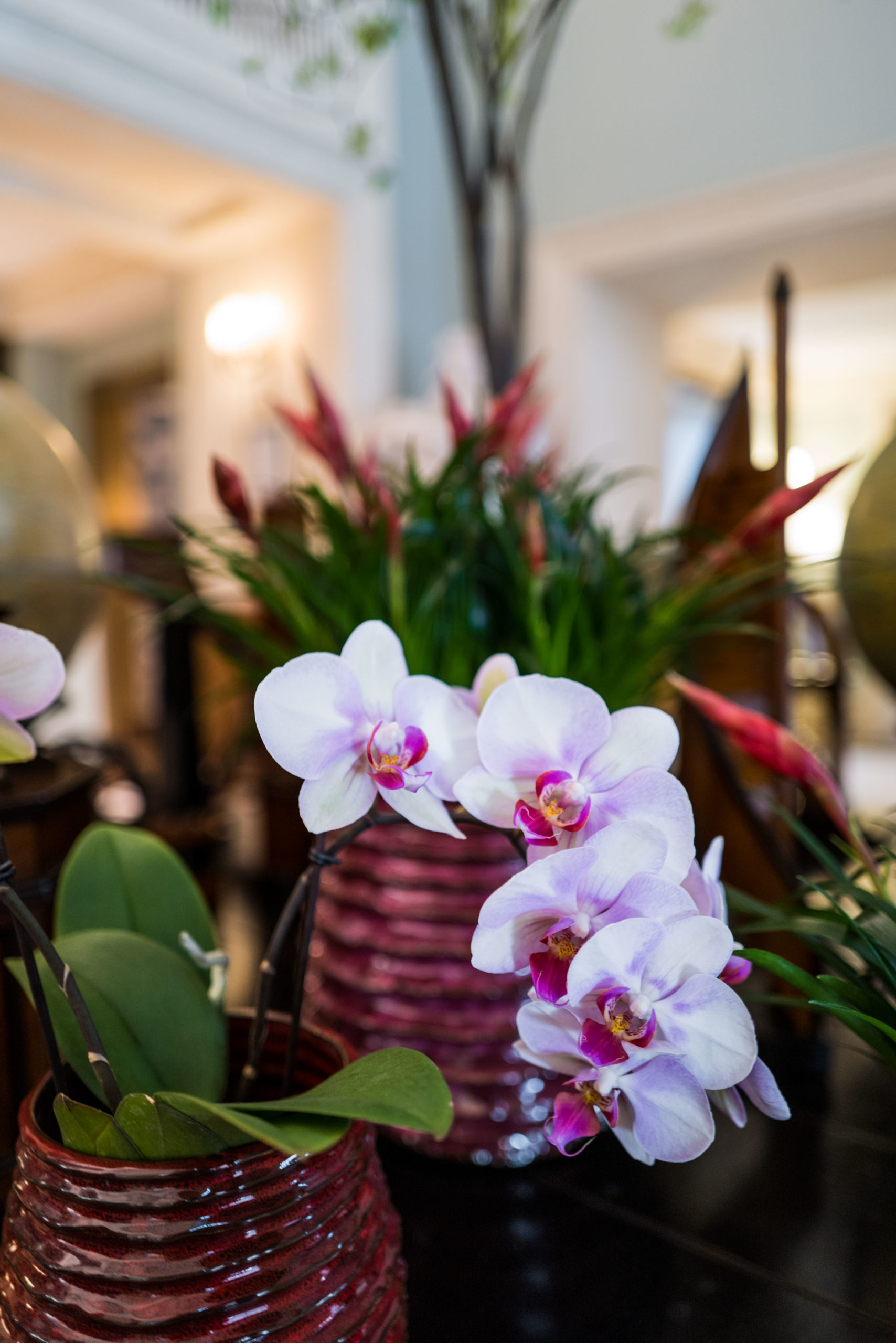 The lobby filled with orchids atRocco Forte's Hotel de la Ville Rome - The Taste Edit #rome #hotel #decor #travel
