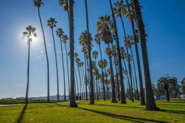 Santa Barbara has pristine beaches, tons of palm trees, tacos, seafood, and fantastic restaurants. Get the best restaurants with our travel guide.