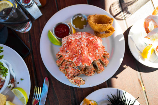 You'll want to order box crab or spiny lobster Santa Barbara Shellfish Company #shellfish #restaurant