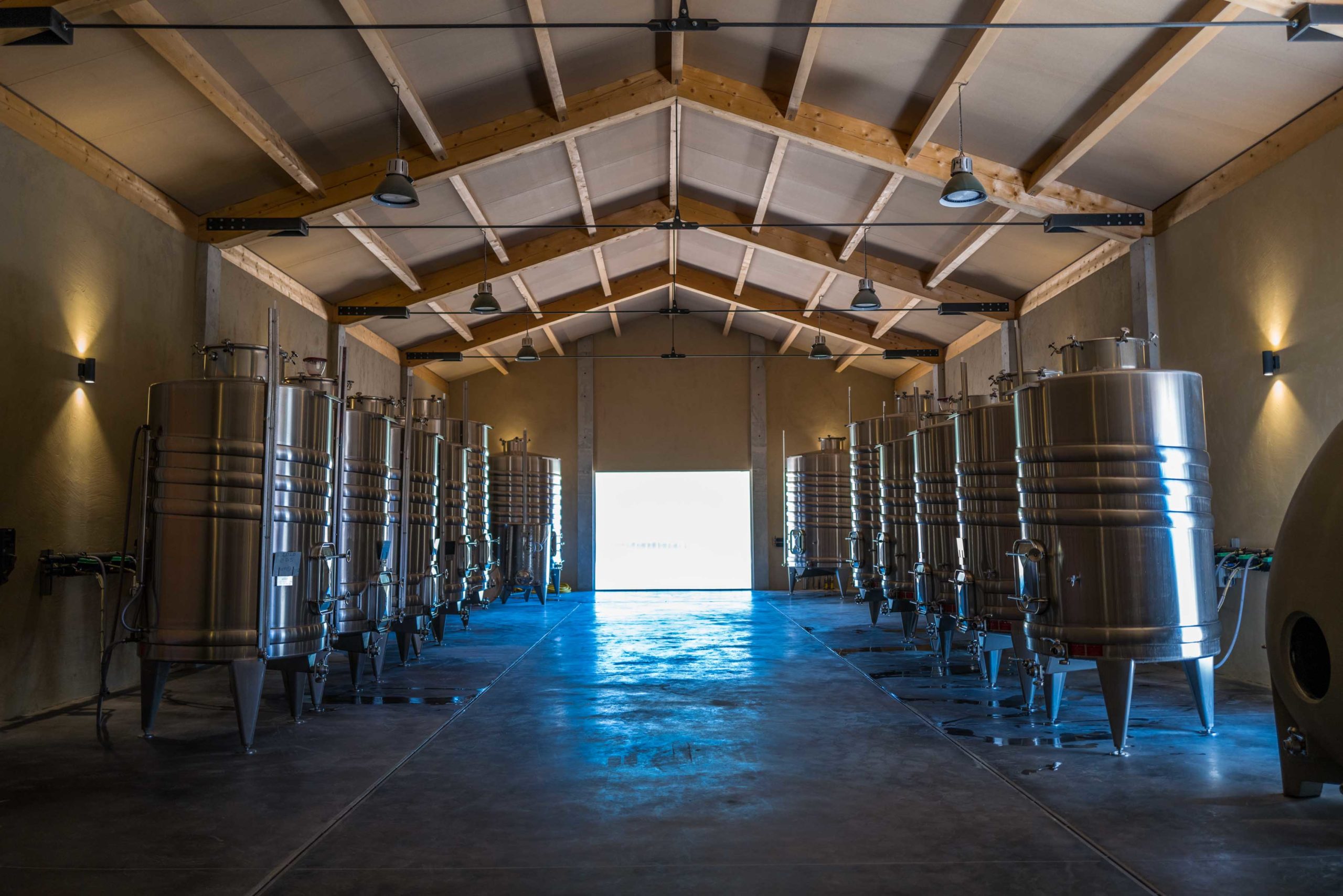 Natural winery in St Tropez France at Fondugues Pradugues