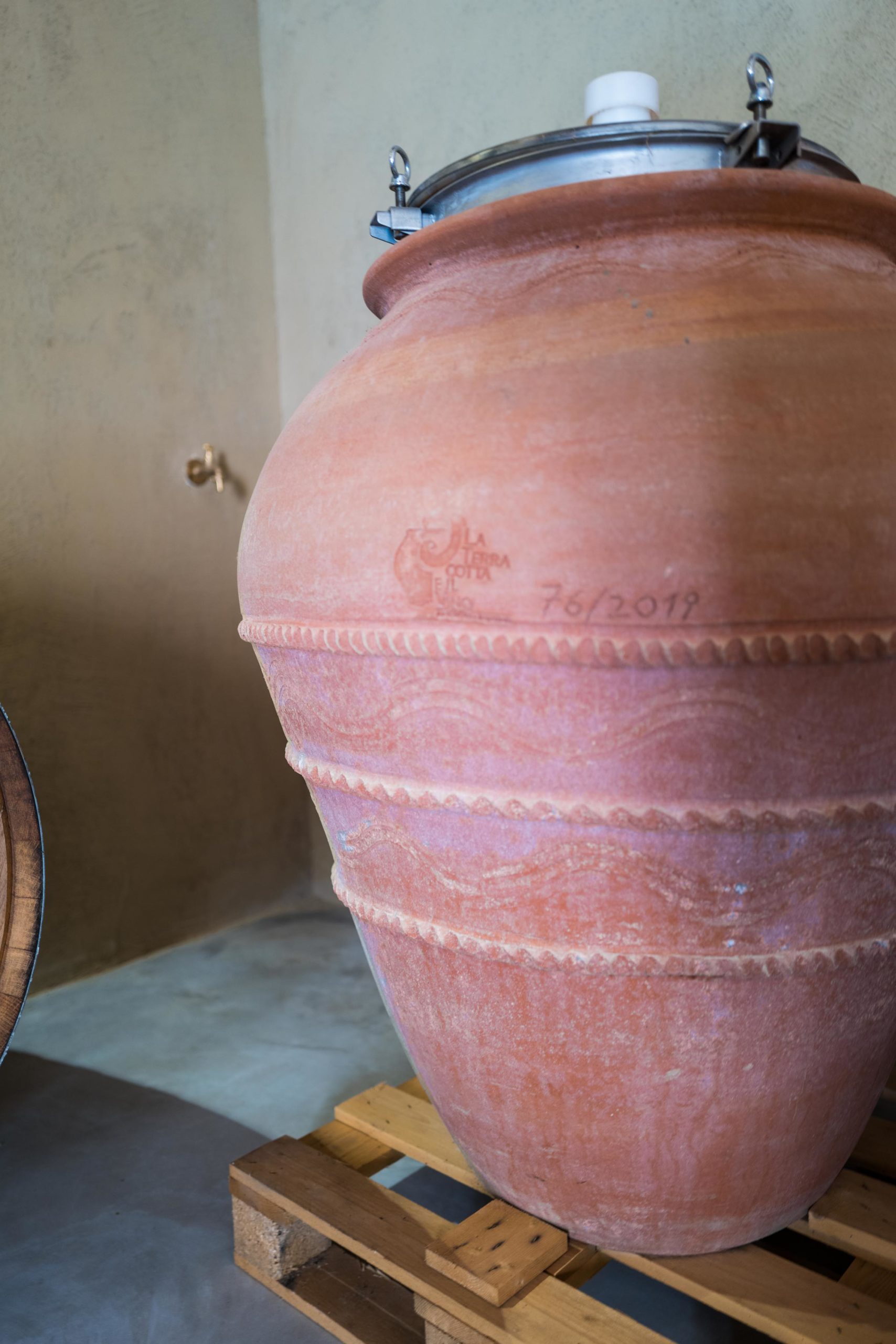 Natural winery in St Tropez France at Fondugues Pradugues