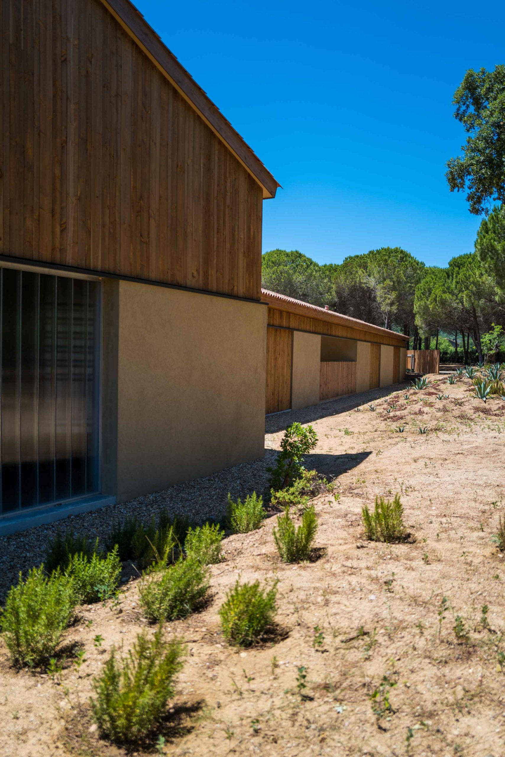 Natural winery in St Tropez France at Fondugues Pradugues