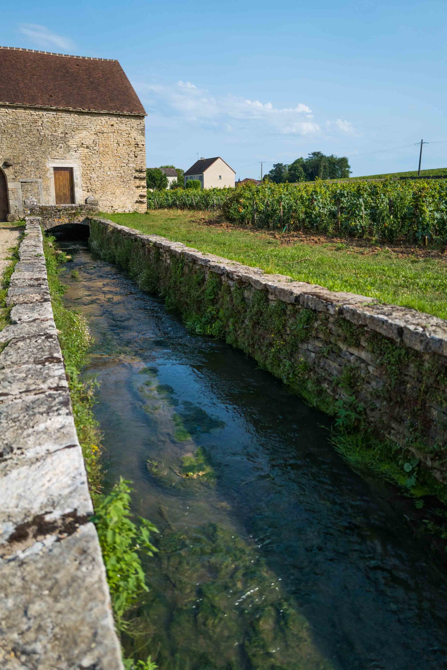 Cave des Peress Burgundy, France