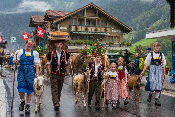 Alpine Festival – Désalpe: Where To See The Swiss Cow Parades