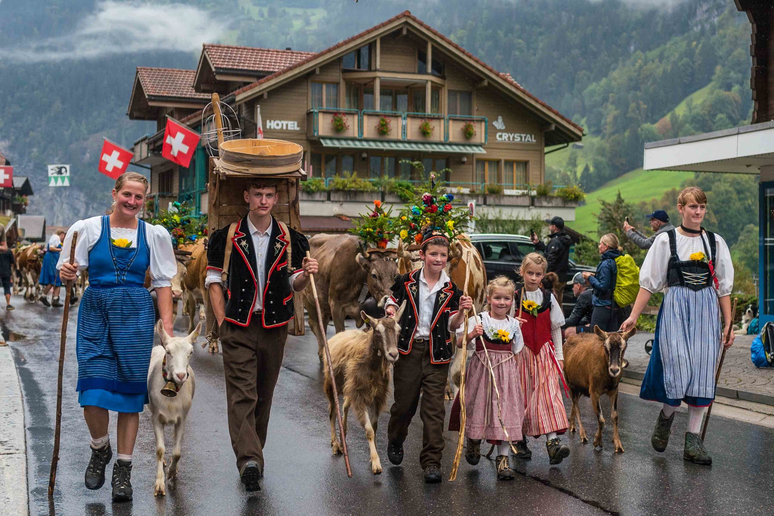 Alpine Festival Désalpe Where To See The Swiss Cow Parades The