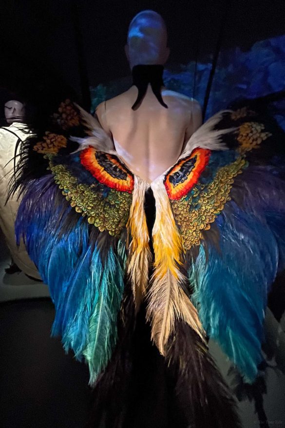 Thierry Mugler Couturissime Visit the Thierry Mugler Courturissime Paris exposition at the Musée des Arts Décoratifs a fashion icon where you can expereince his costumes, haute couture, fragrance and more