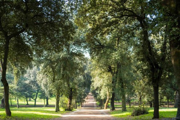 Villa Borghese Gardens in Rome Tour Bernini statues at the Galleria Borghese in Rome without tourists, The Taste Edit #rome #borghese #italy #travel #museum