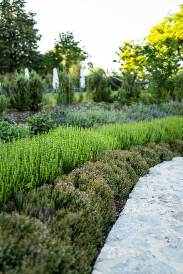 Culinary garden at Chef Laurent Petit’s Clos de Sens hotel and three Michelin star restaurant is minutes from Geneva, in Annecy, the "Venice of France"