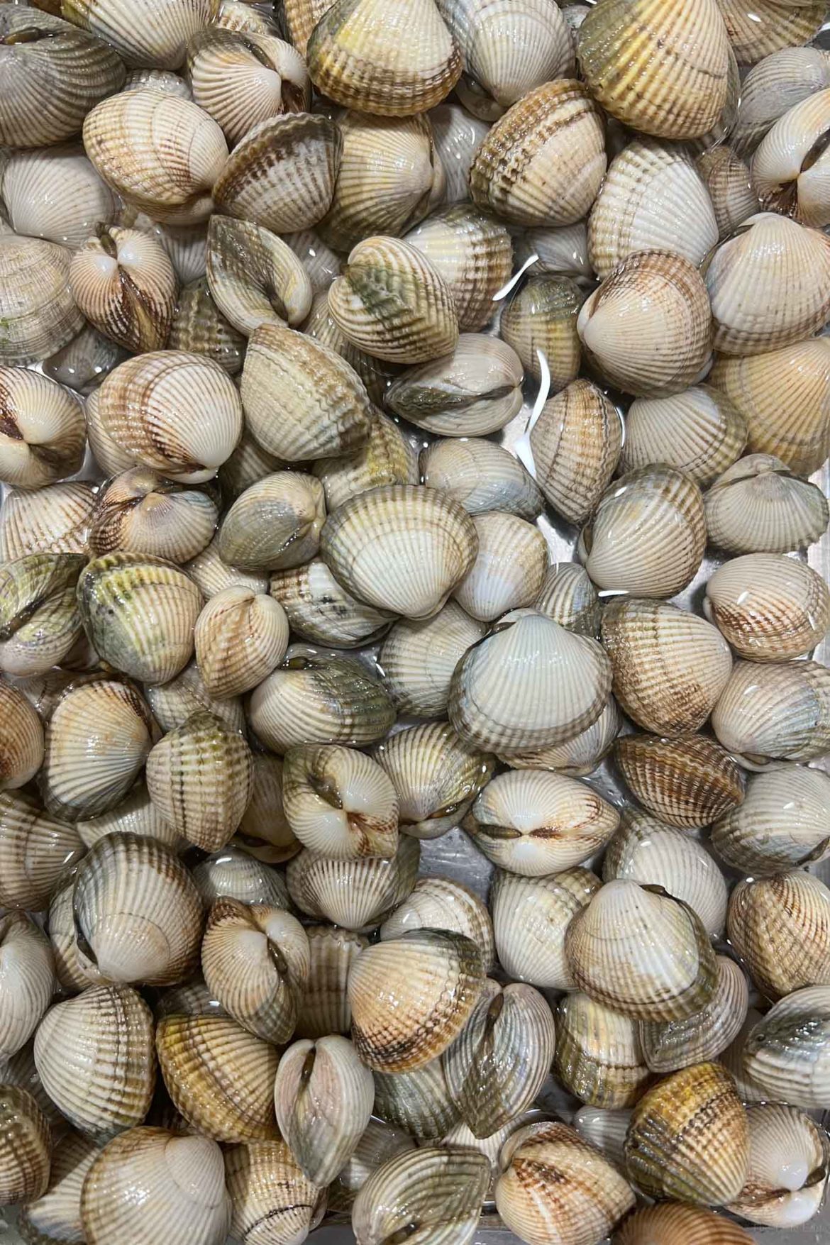 Simple Steamed Clams from Burgundy The Taste Edit