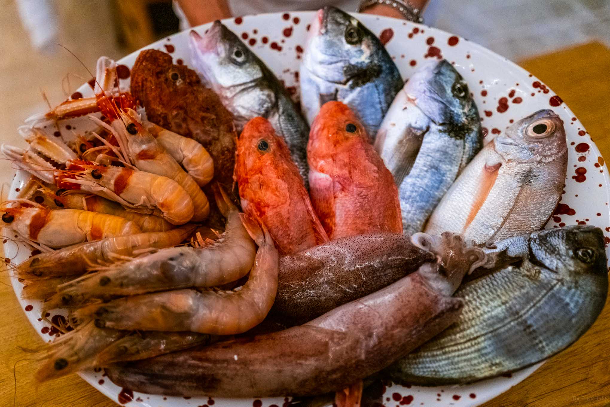 Catch of the day at masseria caldetrisi in Puglia fish