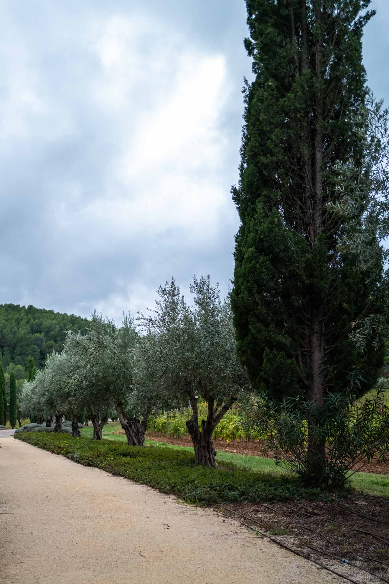 Chateau de Berne Hotel in Provence