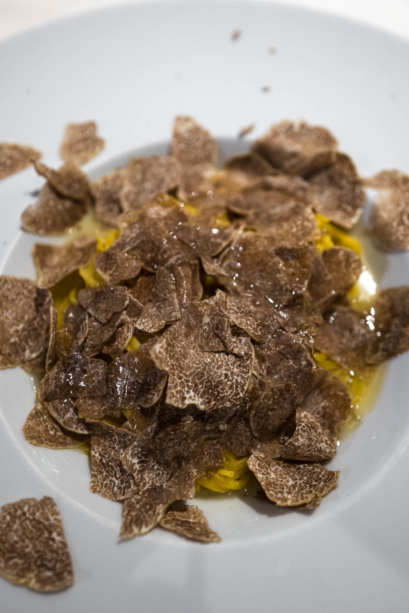 Where to find the best white ruffles in Barolo at Restaurant Rossobarolo in Barolo Italy
