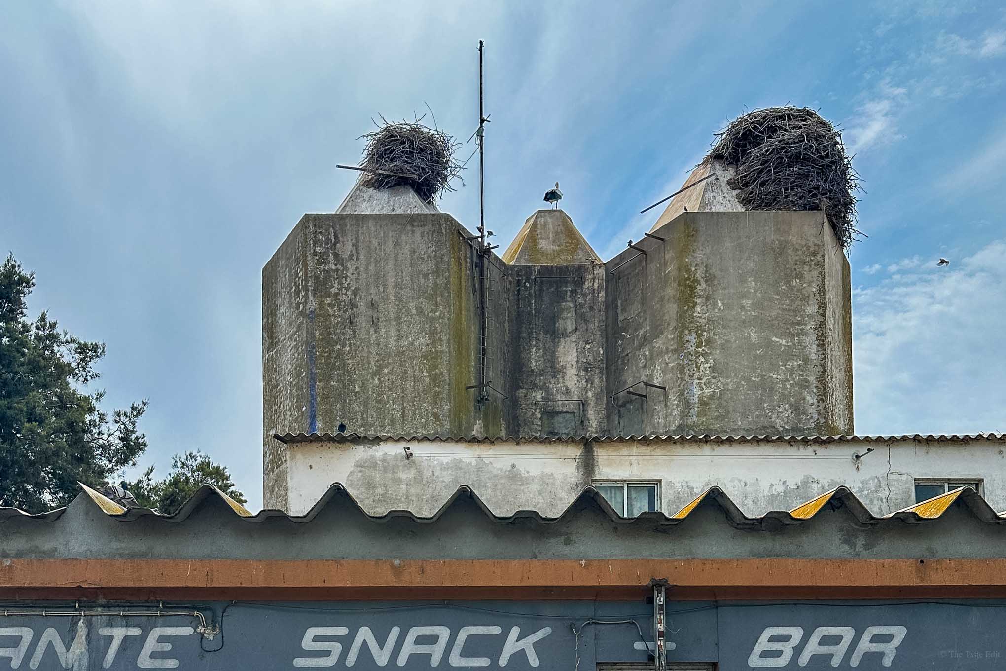 The famous stork nests in Comporta Portugal