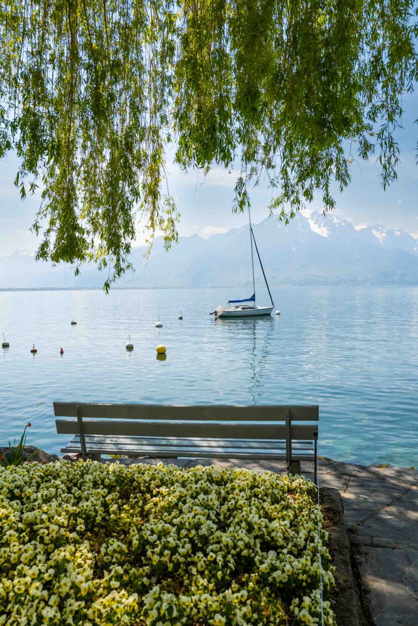 Views of a sailboat on Lake Geneva from Montreux 