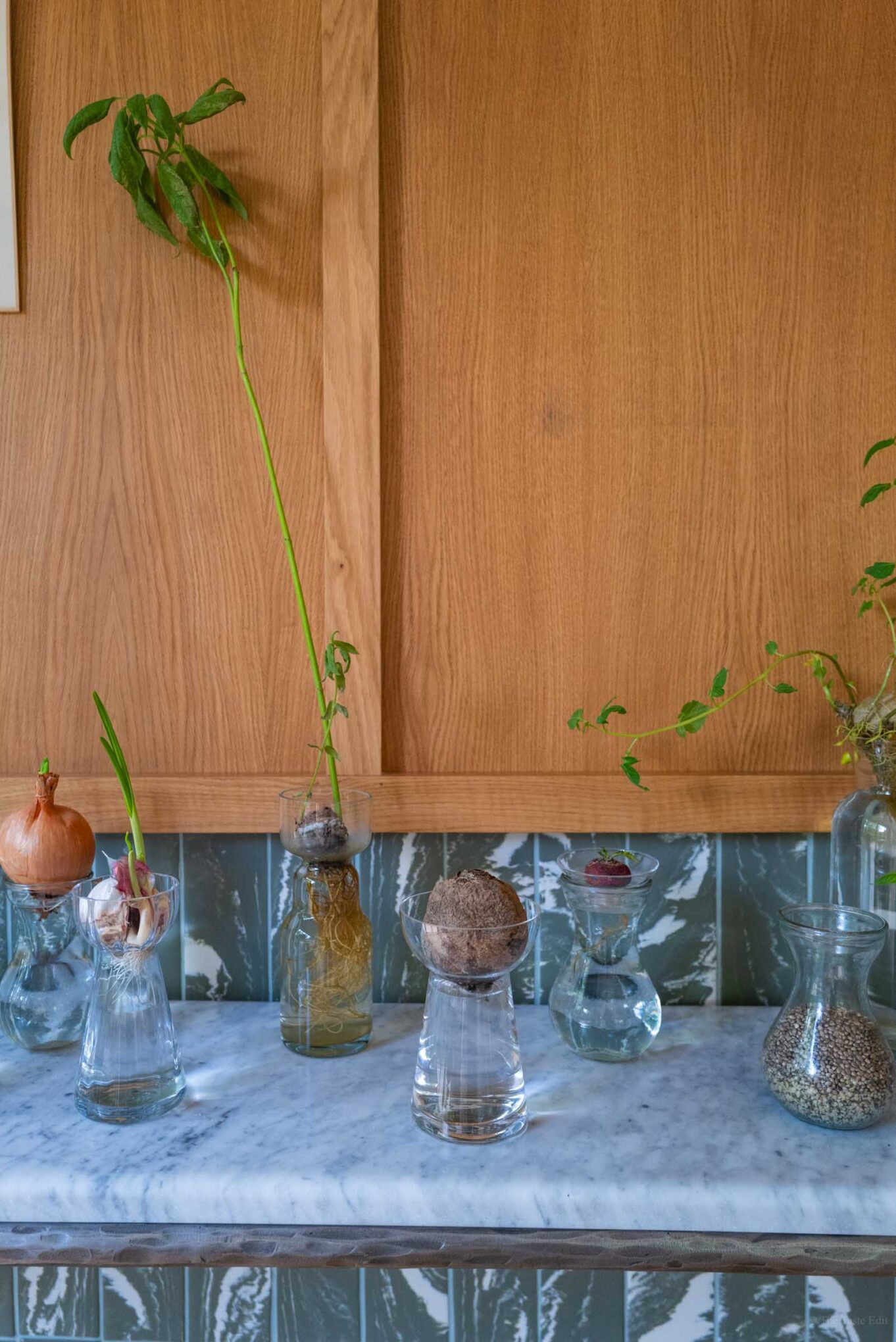 The plant focused Michelin restaurant at Domain Primard Hotel in Normandy France