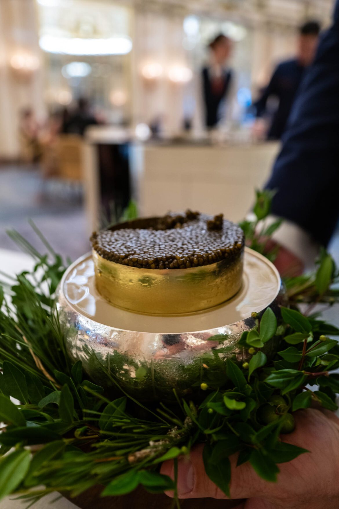 Dining at Le Louis XV – A Family Affair in Fine Dining - The Taste Edit