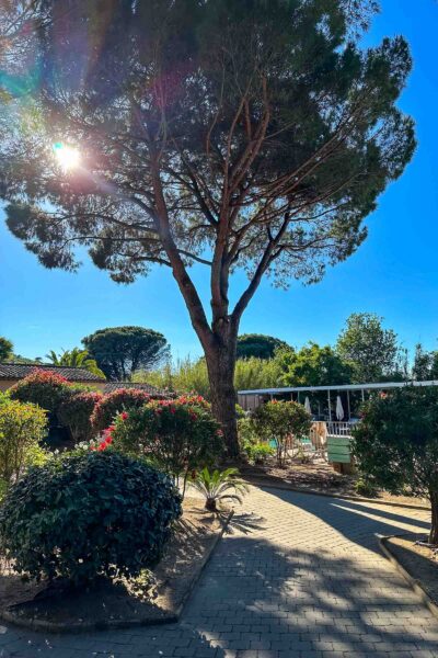 Maison du sud in Saint Tropez