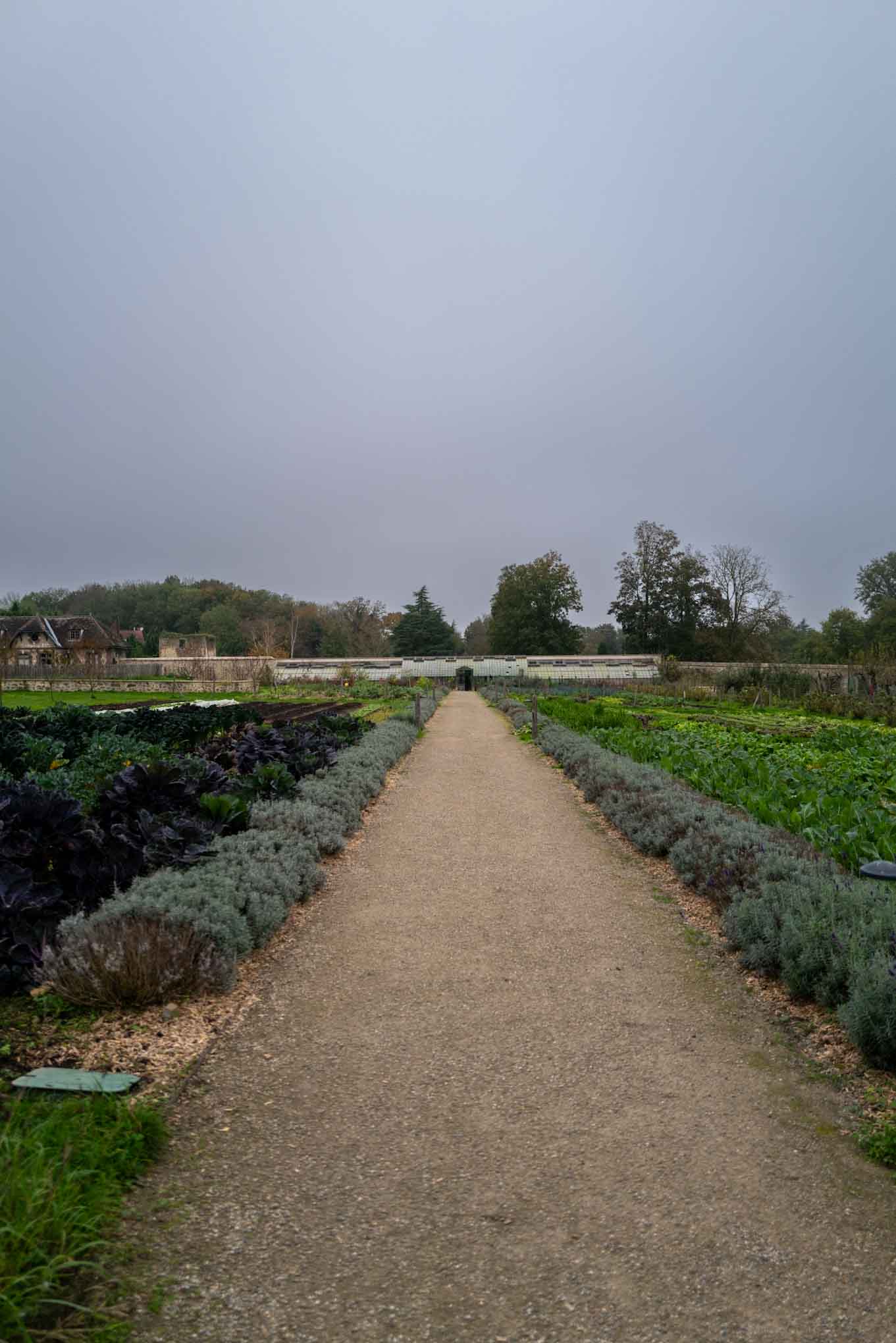 Le Doyenne Restaurant in France outside of Paris with natural wine and farm garden