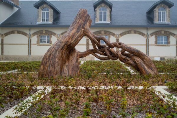 A Chilly Morning in Champagne: Visiting Ruinart