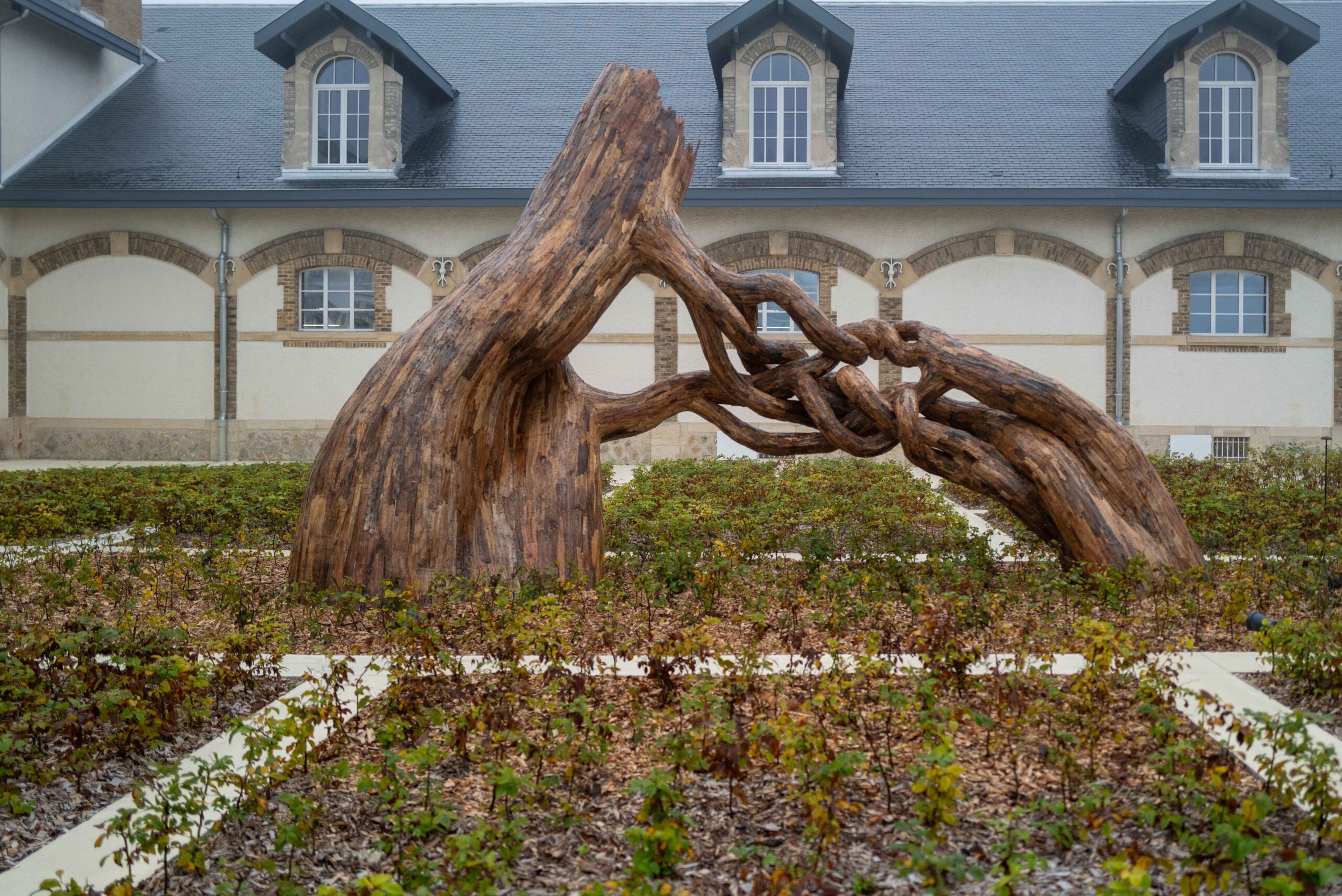 Artistic tree sculpture in front of Ruinart Champagne House, blending modern design with heritage, set against the historic backdrop of the world’s oldest Champagne house.