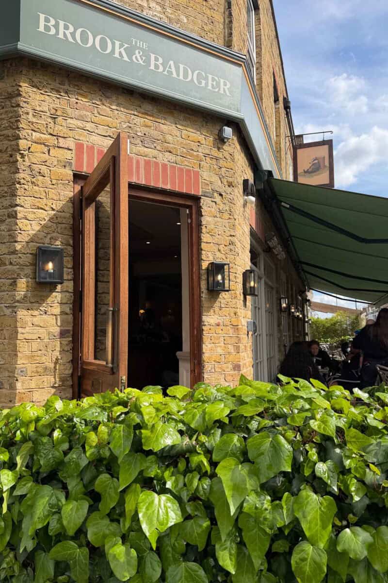 Exterior view of The Brook & Badger pub with open door and lush greenery in front.