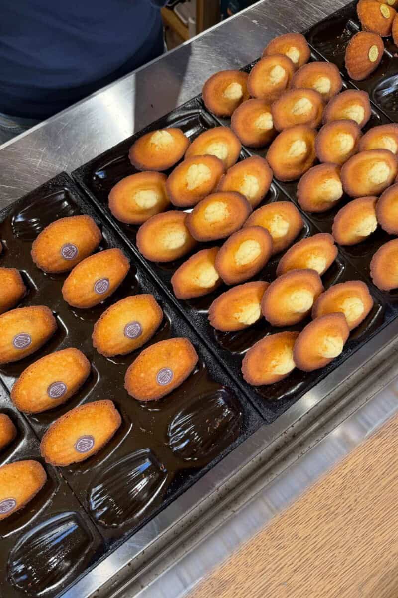 Mini golden baked donuts with purple glaze, freshly made and arranged on a baking tray. Perfect for.