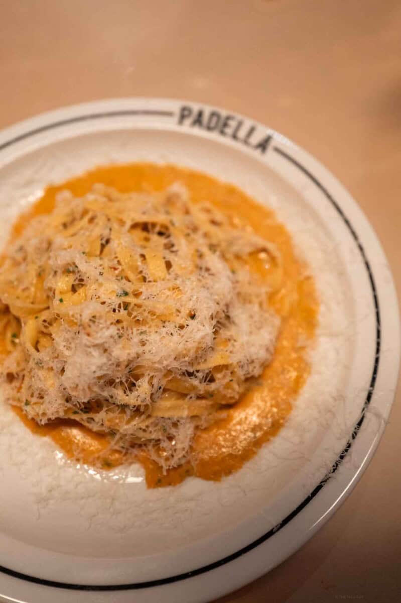 Close-up of padella-style pasta with tomato sauce and cheese on a white plate.