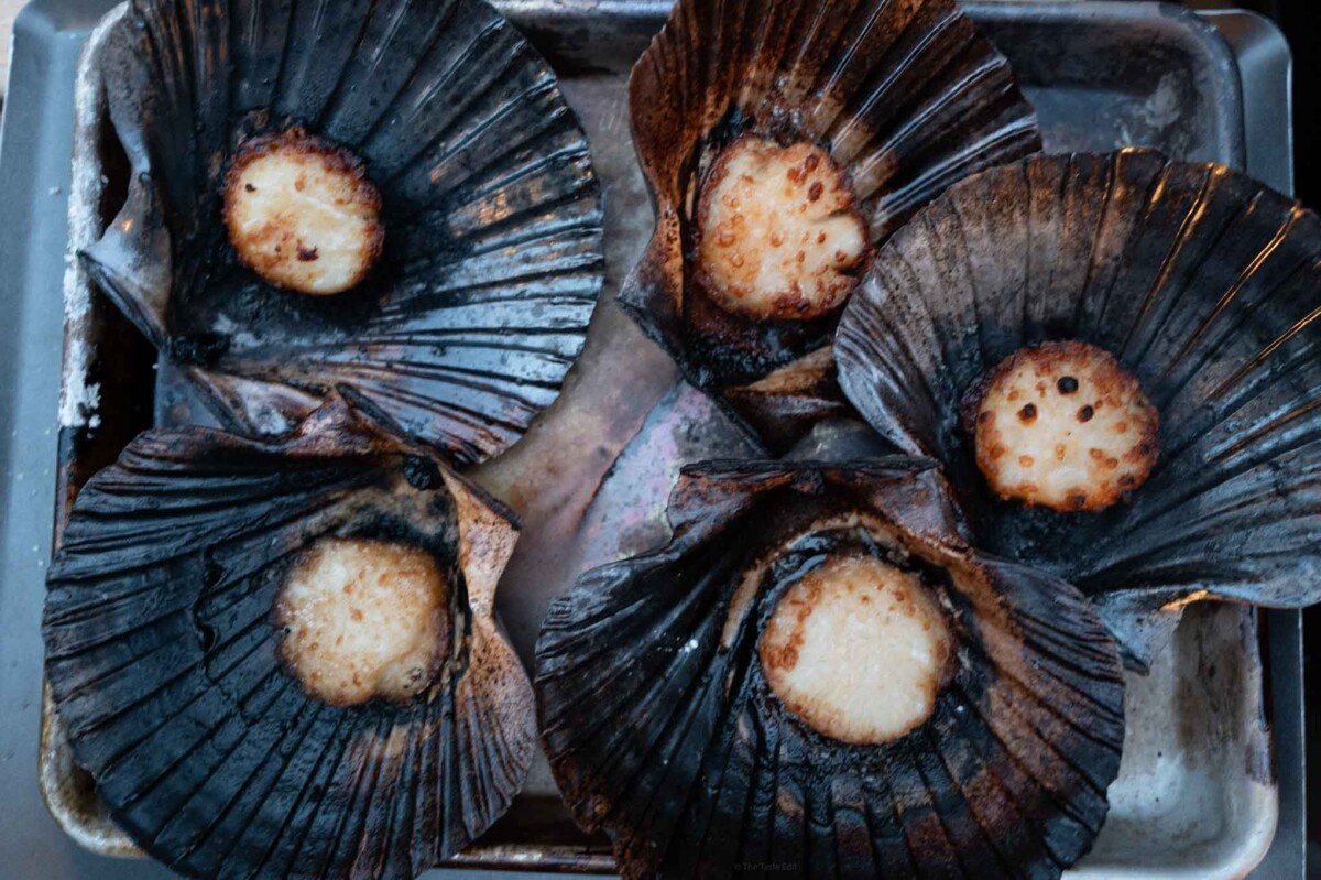 Scallops cooked in a woodfire